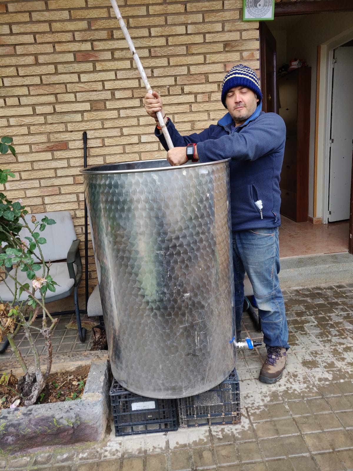 Erste Dynamisierung des Präparats 500